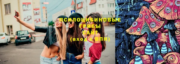 винт Богородицк