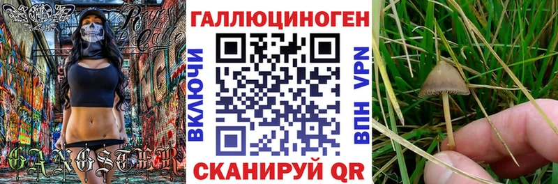 Псилоцибиновые грибы Cubensis  мориарти наркотические препараты  Бахчисарай 